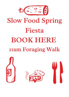 11am Foraging Walk with Alex McAllister aka the Force of Nature Chef - Free Event